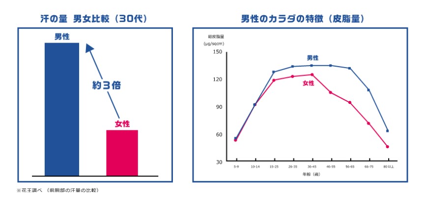 男性と女性の汗の量及び皮脂量の比較 ※花王調べ